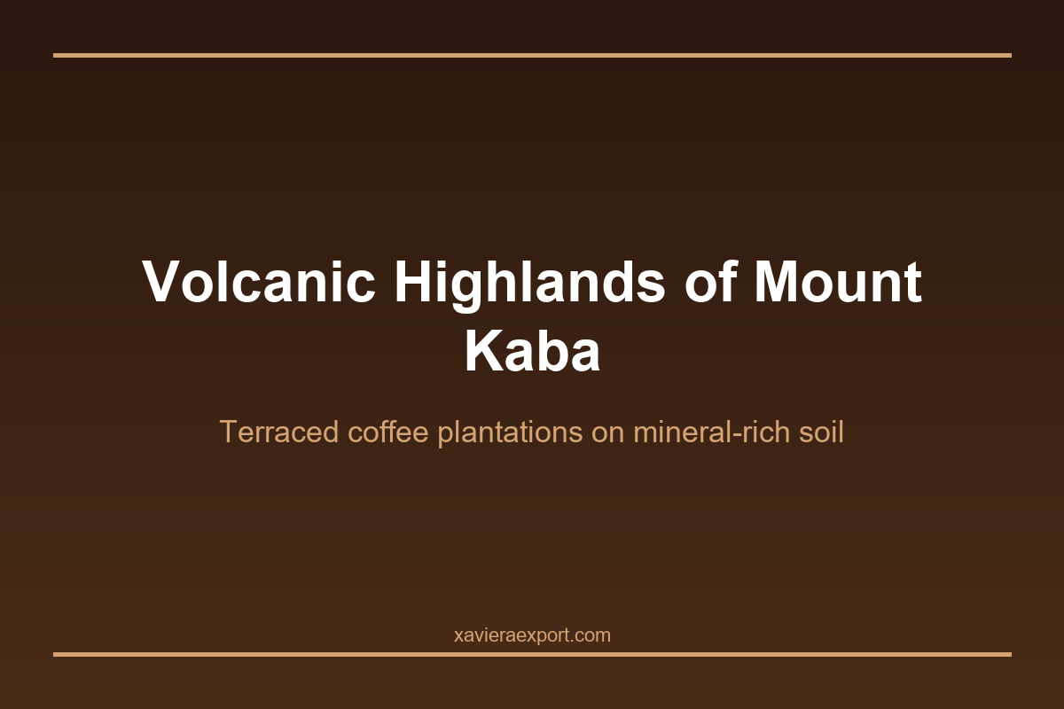 Arabica vs Robusta in Kepahiang: A Complete Guide to Bengkulu's Two Signature Coffee Varieties image 1