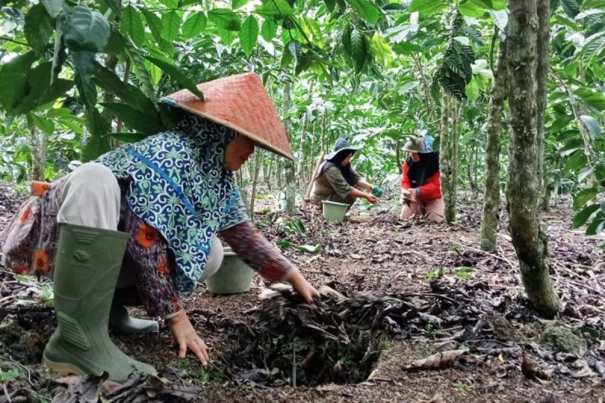Brewing Global Success: How Kepahiang's 2026 Coffee Festival is Propelling Local Beans to the National and International Stage