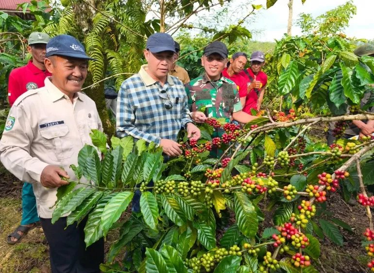 Brewing Global Success: How Kepahiang's 2026 Coffee Festival is Propelling Local Beans to the National and International Stage image 2