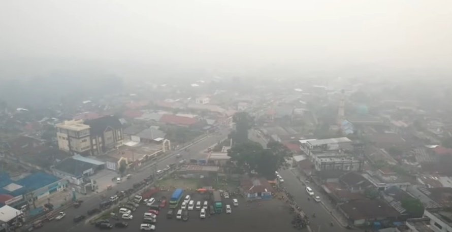 Haze Impact on Kepahiang Coffee Supply & Quality: October 2026 Field Report