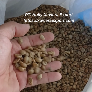 Home pt. holly xaviera export httpsxavieraexport.com