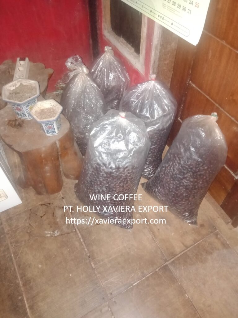 whatsapp image 2026 01 10 at 21.02.36 (1)