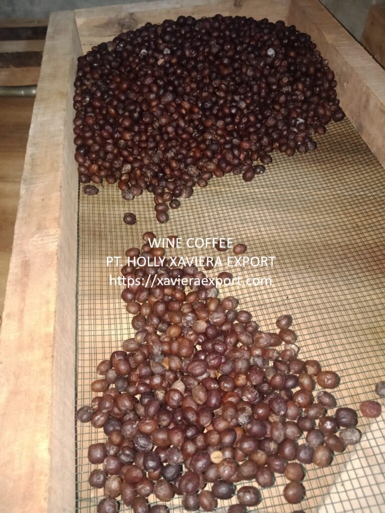 whatsapp image 2026 01 10 at 21.02.36