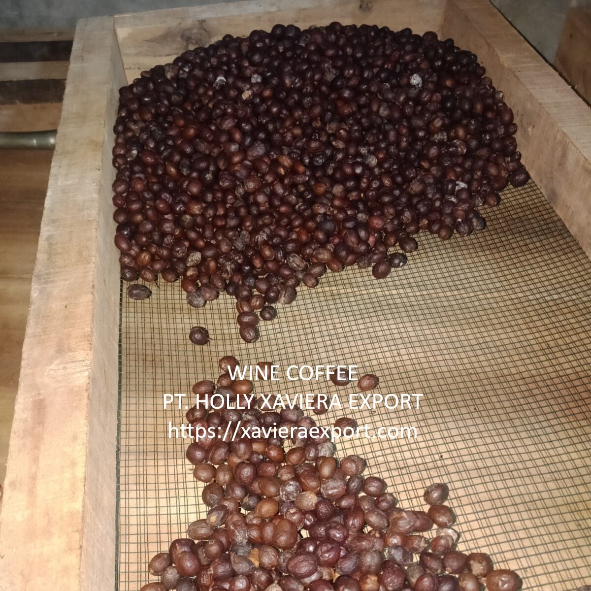 Home Wine Coffee Process