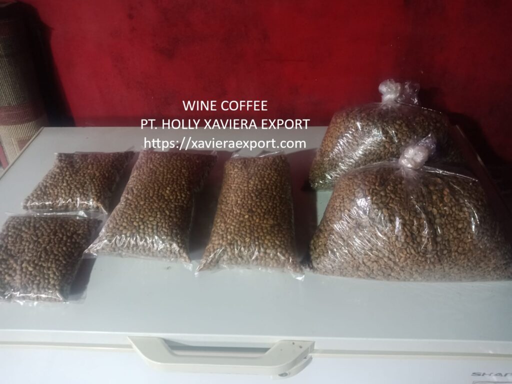 whatsapp image 2026 01 10 at 21.02.37 (1)