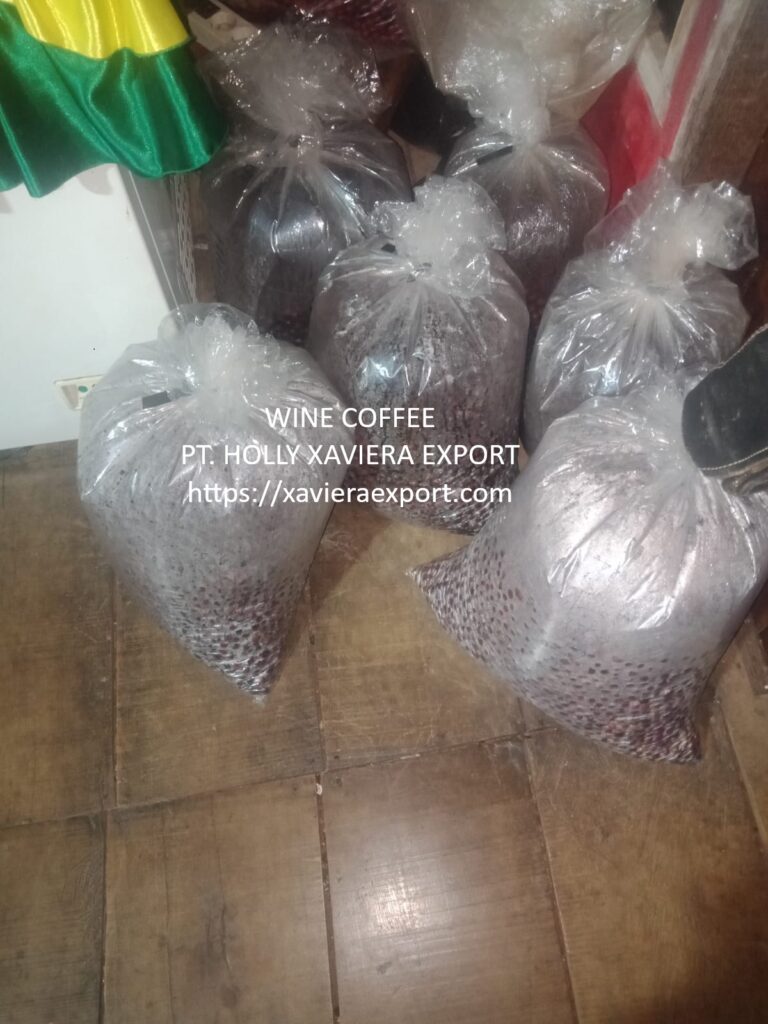 whatsapp image 2026 01 10 at 21.02.37 (2)