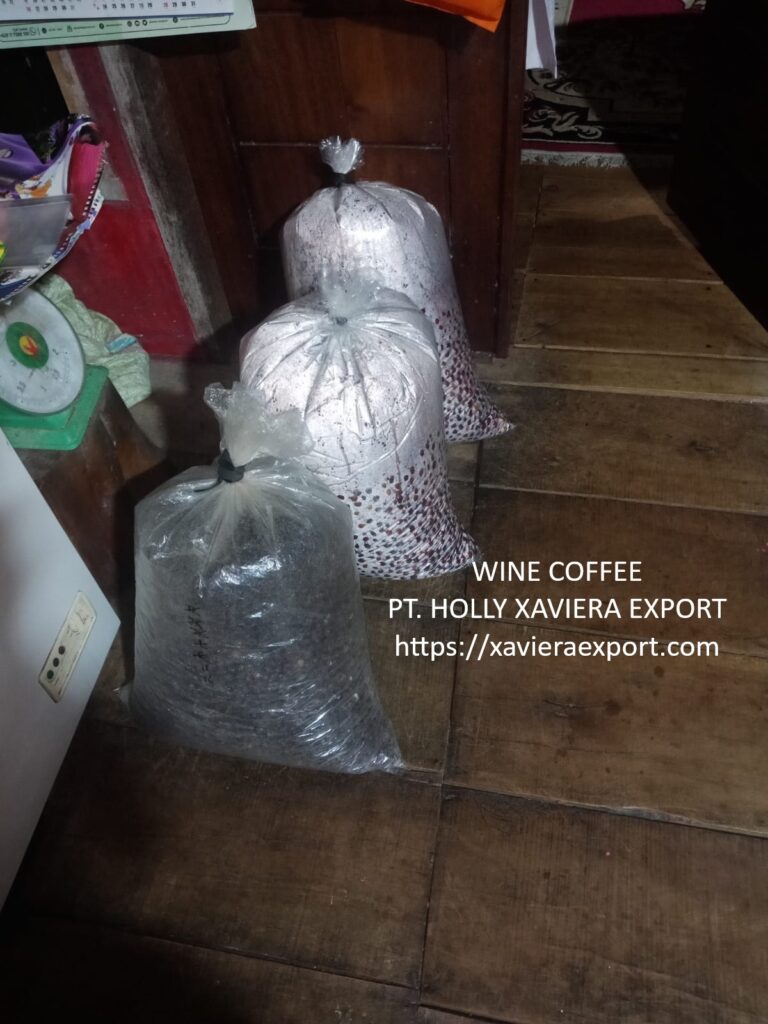 whatsapp image 2026 01 10 at 21.02.37 (3)