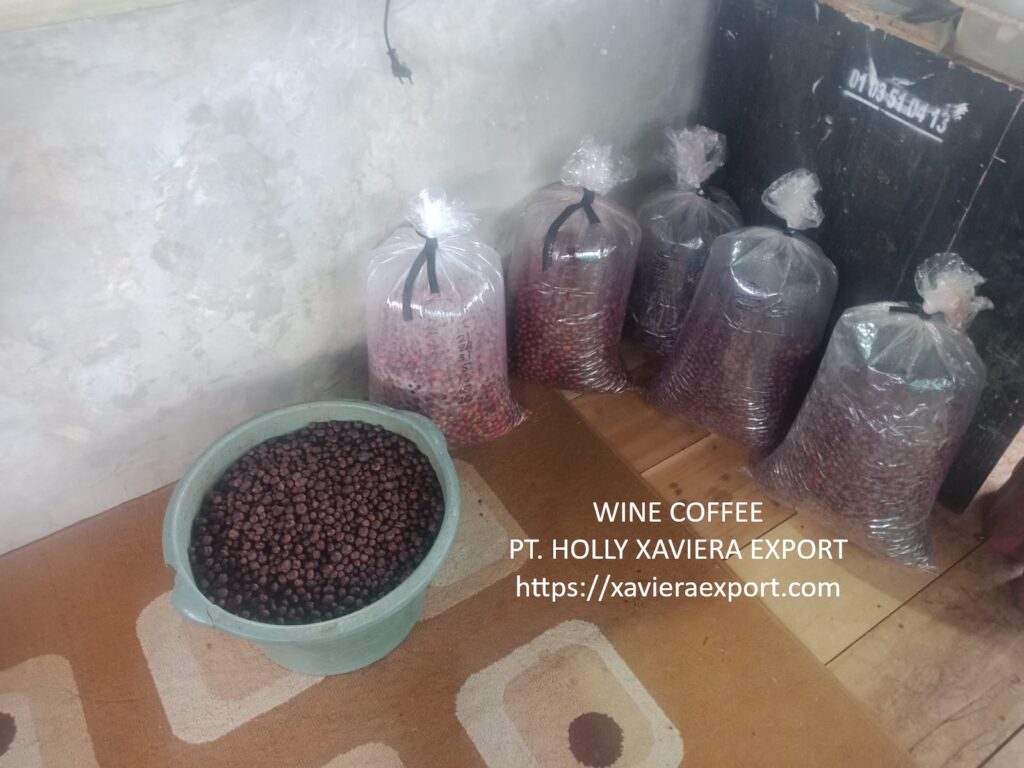 whatsapp image 2026 01 10 at 21.02.37