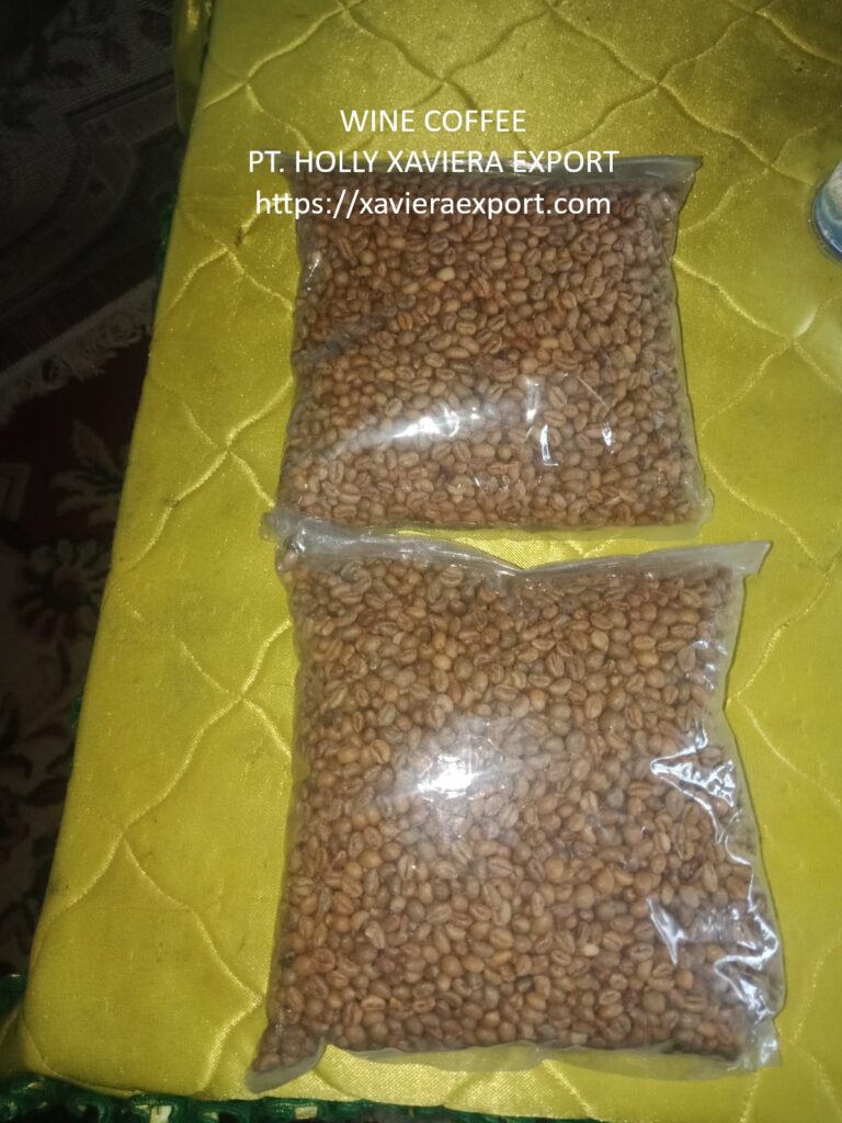 whatsapp image 2026 01 10 at 21.02.38 (1)