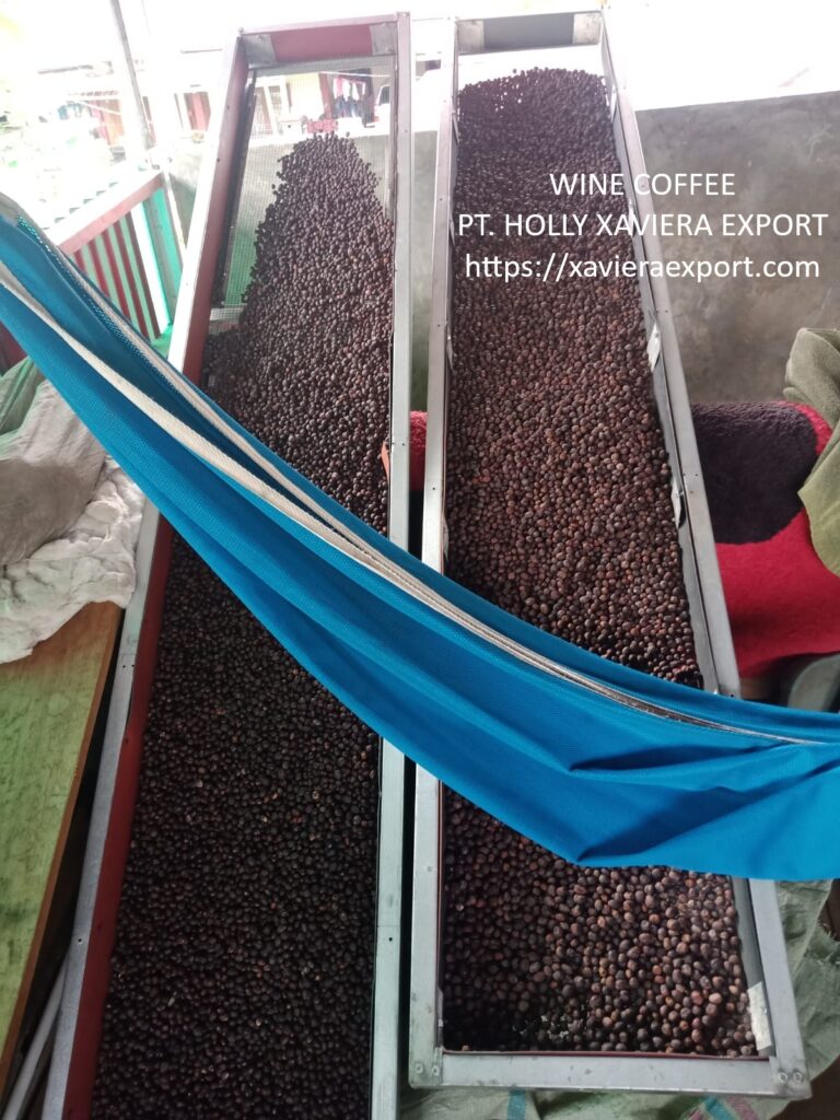 whatsapp image 2026 01 10 at 21.02.38 (2)