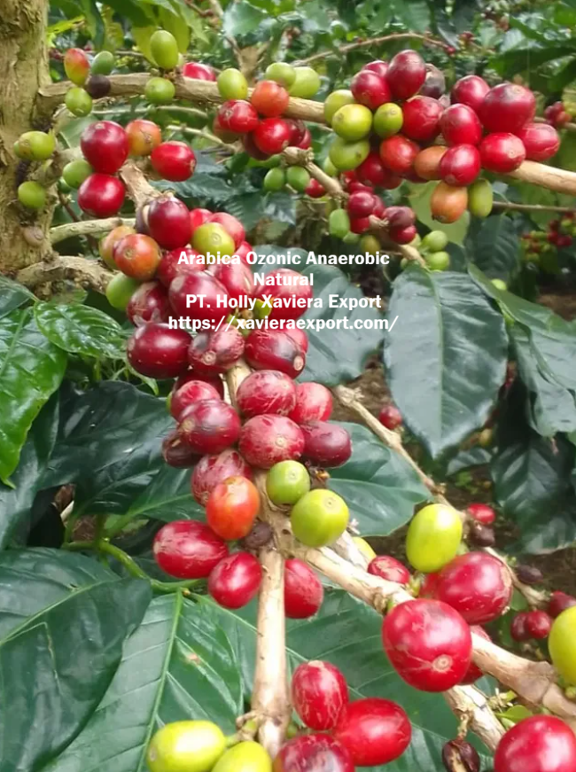 screenshot 2026 03 30 204948