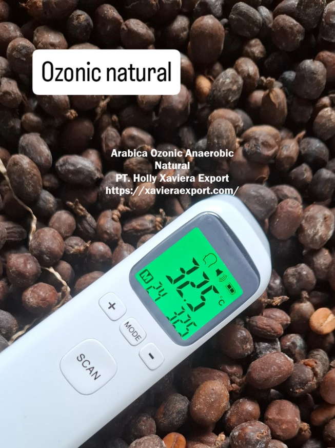 screenshot 2026 03 30 205156