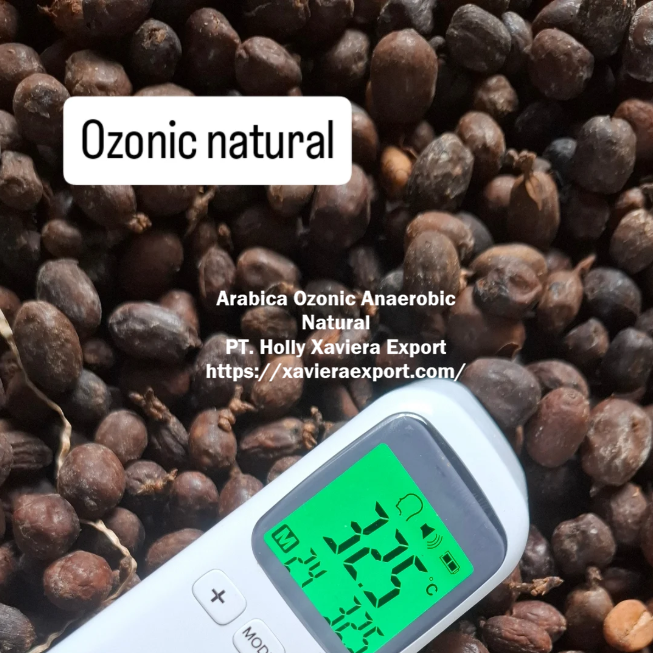 Home https://xavieraexport.com/arabica-ozonic-anaerob-natural/