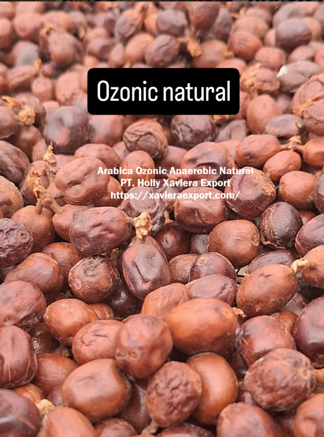 screenshot 2026 03 30 205223