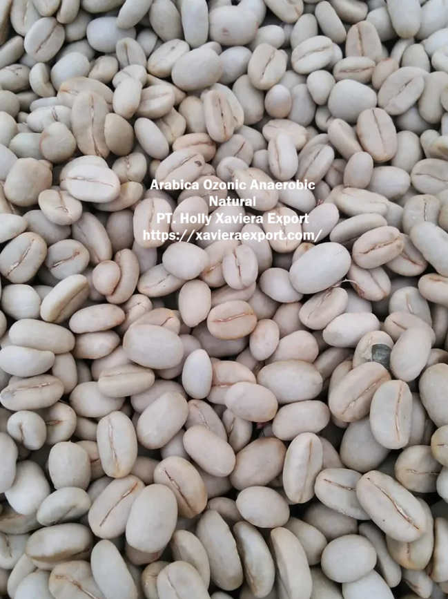 screenshot 2026 03 30 205259