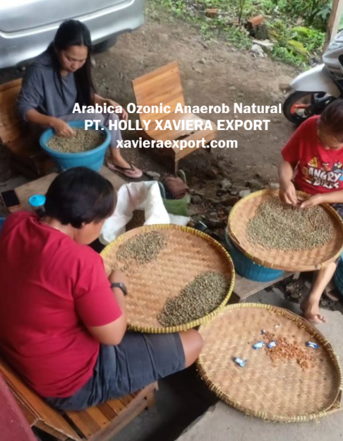 screenshot 2026 03 30 231345